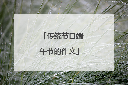 传统节日端午节的作文