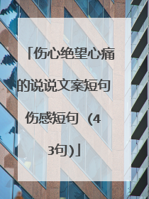 伤心绝望心痛的说说文案短句伤感短句 (43句)
