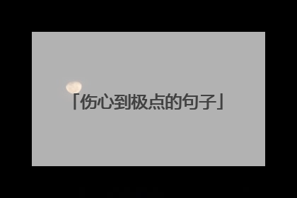 伤心到极点的句子