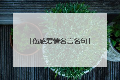 伤感爱情名言名句