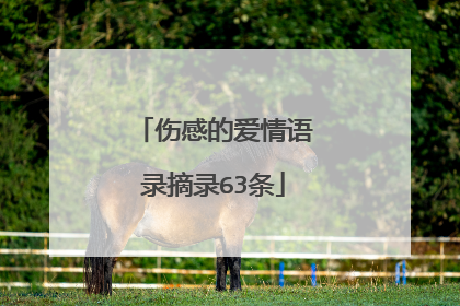 伤感的爱情语录摘录63条