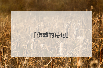 伤感的诗句