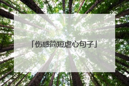 伤感简短虐心句子