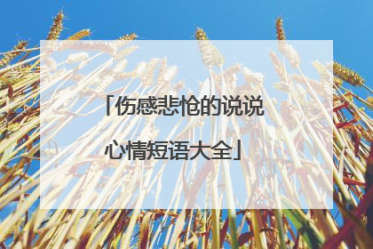 伤感悲怆的说说心情短语大全