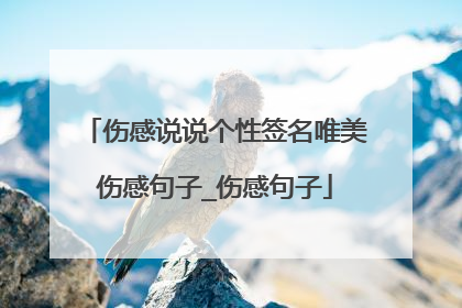 伤感说说个性签名唯美伤感句子_伤感句子