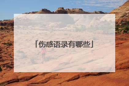 伤感语录有哪些