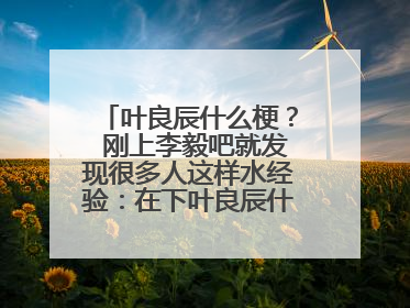 叶良辰什么梗？ 刚上李毅吧就发现很多人这样水经验：在下叶良辰什么什么的…… 什么意思？