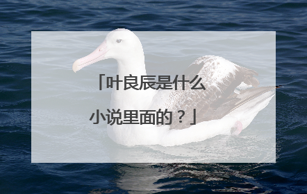 叶良辰是什么小说里面的？