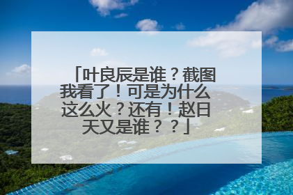 叶良辰是谁？截图我看了！可是为什么这么火？还有！赵日天又是谁？？