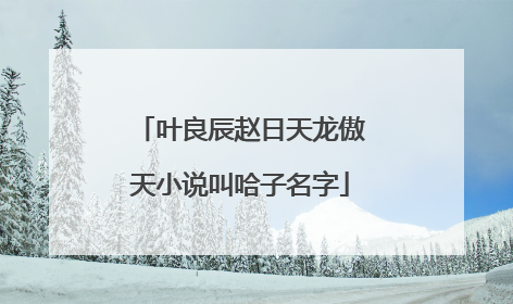 叶良辰赵日天龙傲天小说叫哈子名字