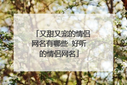 又甜又宠的情侣网名有哪些 好听的情侣网名