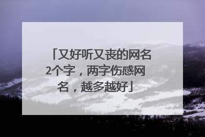 又好听又丧的网名2个字,两字伤感网名,越多越好