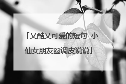 又酷又可爱的短句 小仙女朋友圈调皮说说