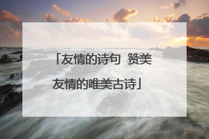 友情的诗句 赞美友情的唯美古诗