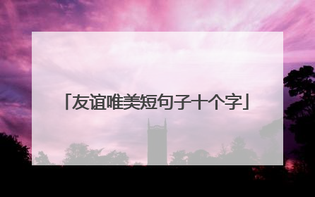 友谊唯美短句子十个字