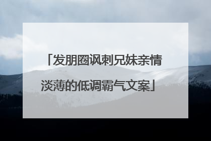 发朋圈讽刺兄妹亲情淡薄的低调霸气文案
