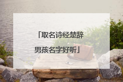 取名诗经楚辞男孩名字好听