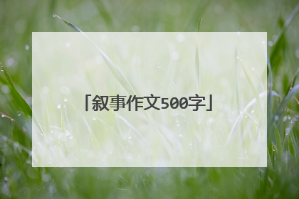 叙事作文500字