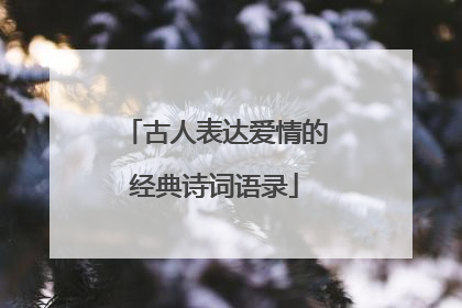 古人表达爱情的经典诗词语录