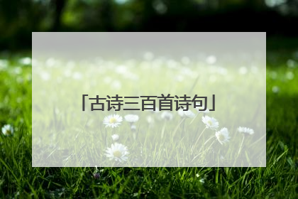 古诗三百首诗句