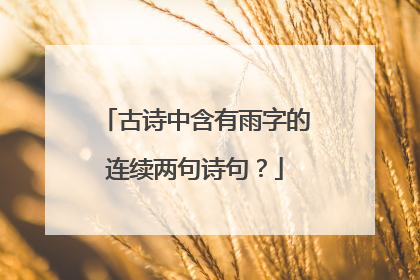 古诗中含有雨字的连续两句诗句?