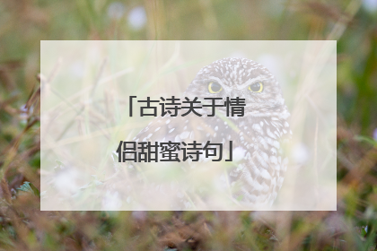 古诗关于情侣甜蜜诗句