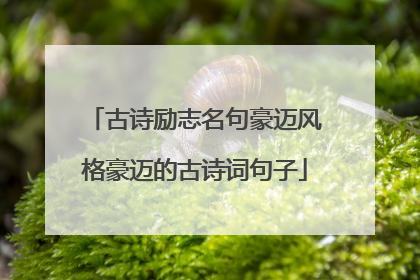 古诗励志名句豪迈风格豪迈的古诗词句子