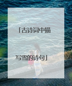 古诗词中描写雪的诗句