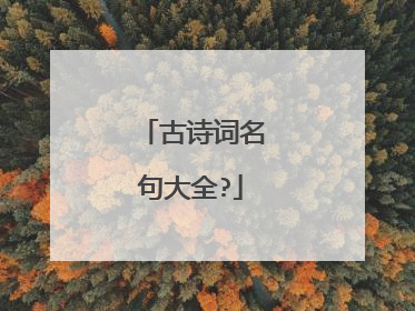 古诗词名句大全?