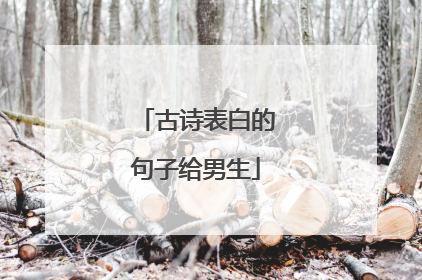 古诗表白的句子给男生