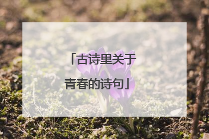古诗里关于青春的诗句
