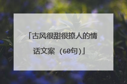 古风很甜很撩人的情话文案 (60句)