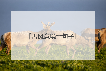 古风意境雪句子