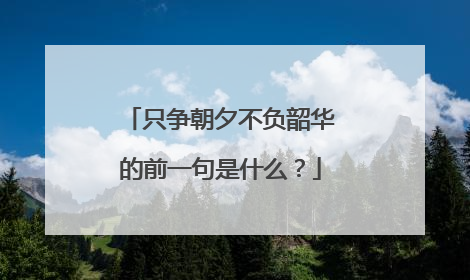 只争朝夕不负韶华的前一句是什么？