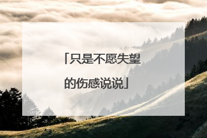 只是不愿失望的伤感说说