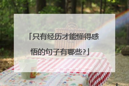 只有经历才能懂得感悟的句子有哪些?
