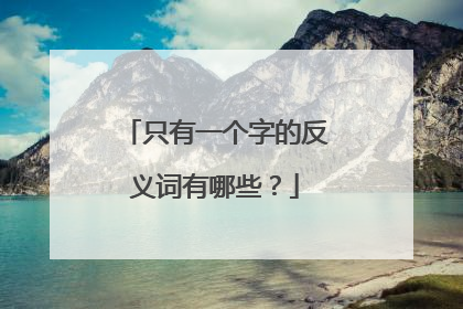 只有一个字的反义词有哪些？