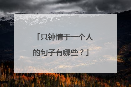 只钟情于一个人的句子有哪些？