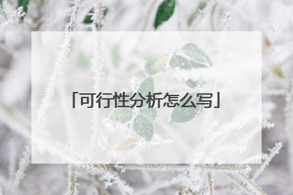 可行性分析怎么写