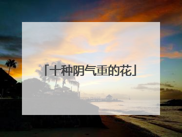 十种阴气重的花