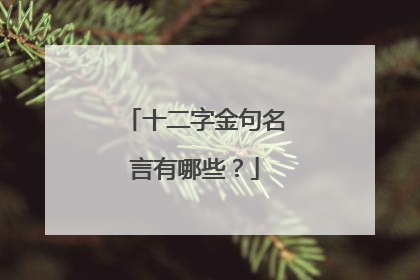 十二字金句名言有哪些?