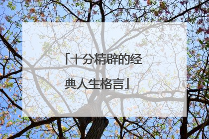 十分精辟的经典人生格言