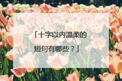 十字以内温柔的短句有哪些？