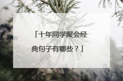 十年同学聚会经典句子有哪些？