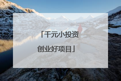 千元小投资创业好项目