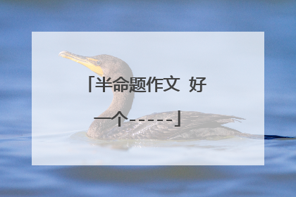 半命题作文 好一个-----