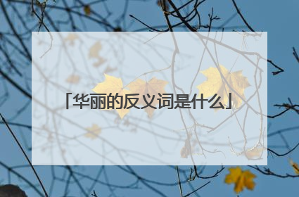 华丽的反义词是什么