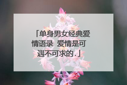 单身男女经典爱情语录 爱情是可遇不可求的.