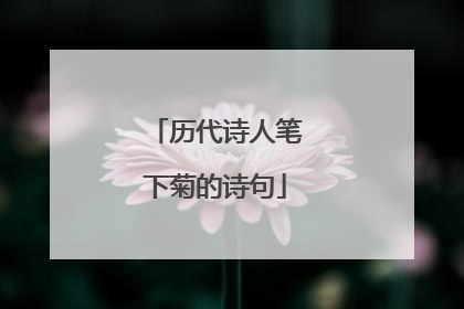 历代诗人笔下菊的诗句