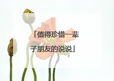 值得珍惜一辈子朋友的说说